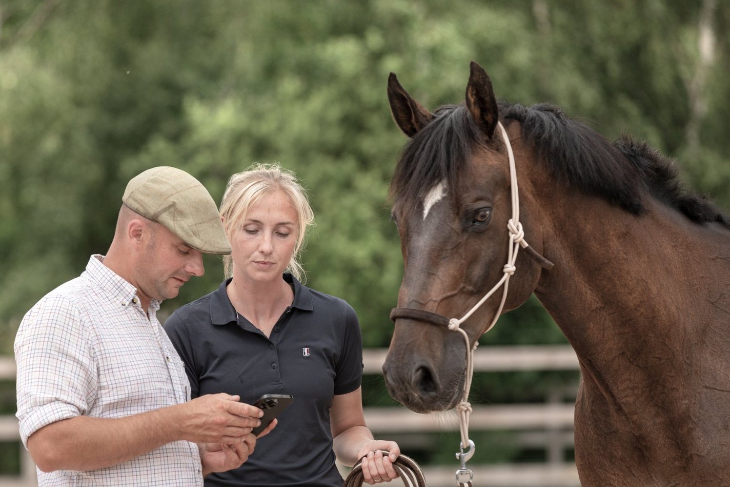 Early detection, better referrals, and individualised horse care with gait monitoring