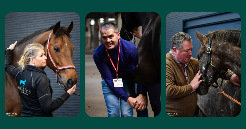 Talking pre-purchase exams at Jumping Amsterdam