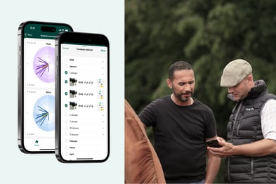 Export and share multiple analyses in one click