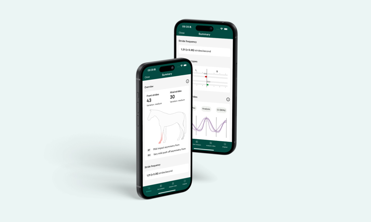 Stride frequency in the Sleip app