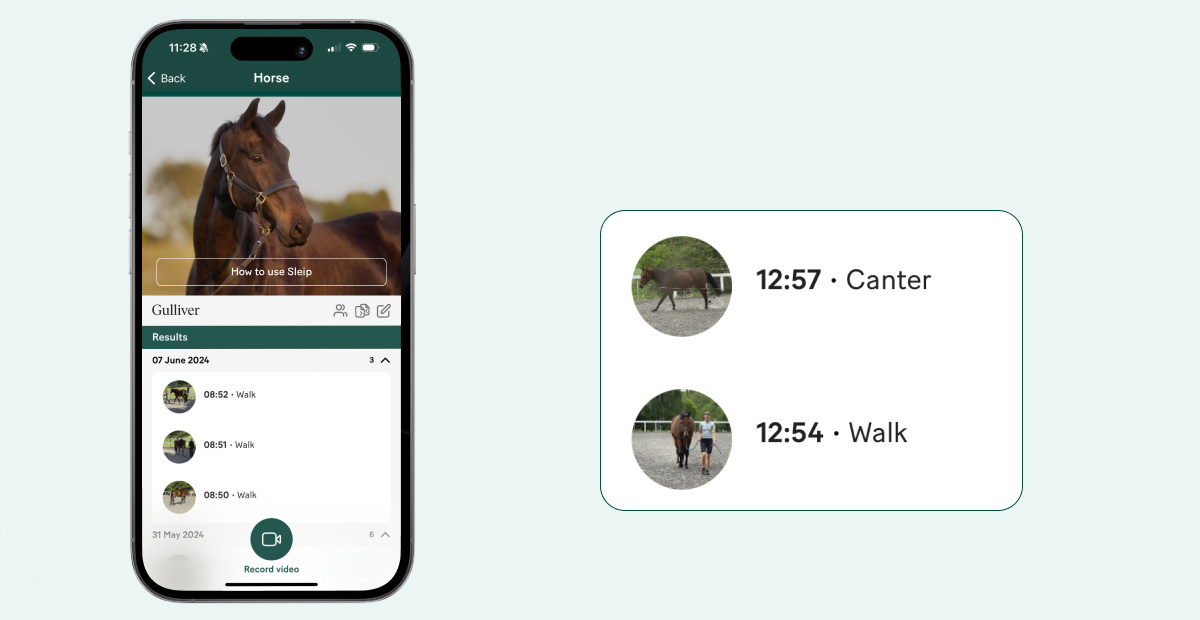 Create Sleip videos at walk and canter