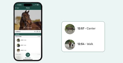 Create Sleip videos at walk and canter