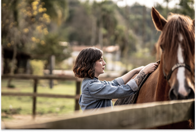 Physical conditioning of horses