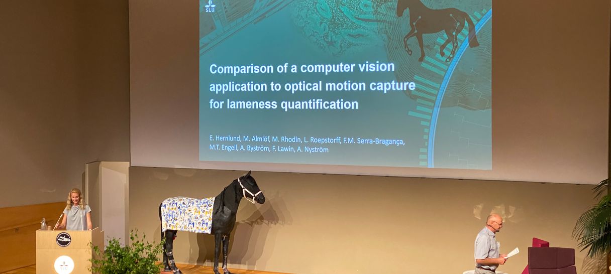 ICEEP /11th International Conference on Equine Exercise Physiology: Sleip founder Elin Hernlund on Biomechanics and lameness