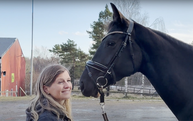 Lameness assessment during longeing