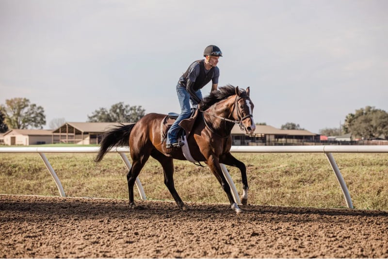 Mark Casse: Talking with a racing legend