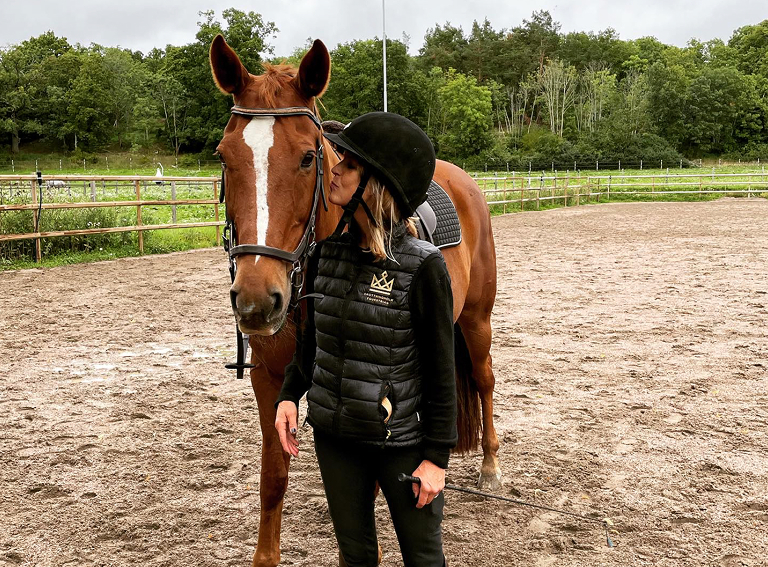 Caring for the geriatric horse