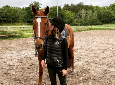 Caring for the geriatric horse